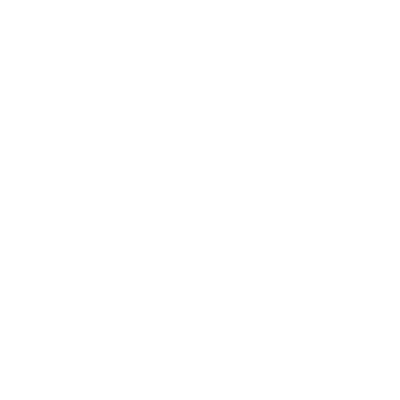 THE BOARS HEAD